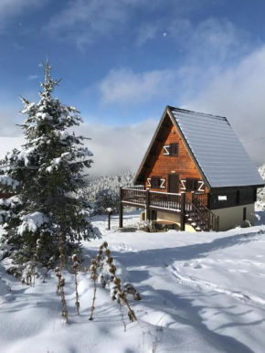 Chalet les Dalmatiens Station de ski de Camurac